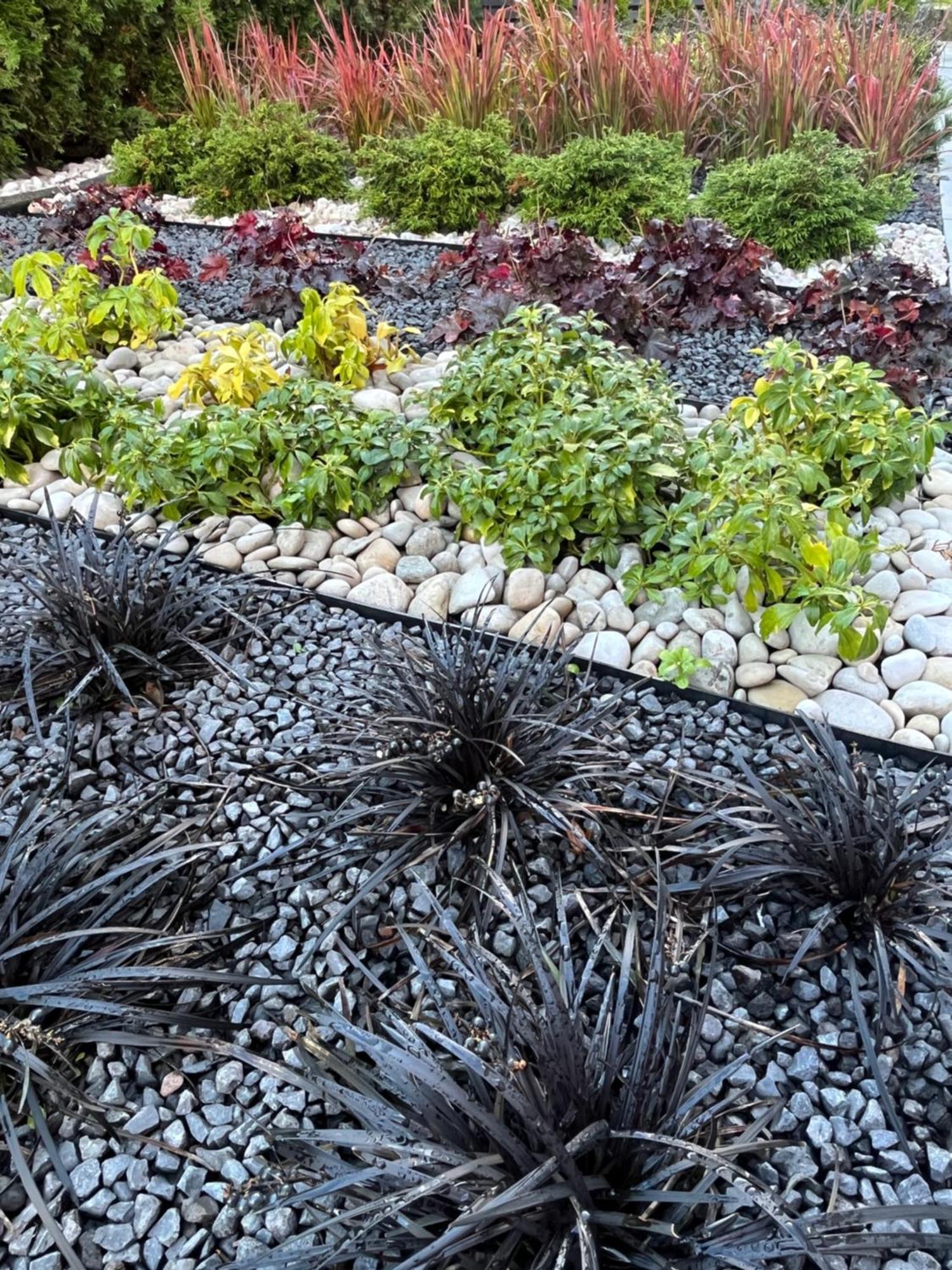Bela - Pokoje Z Aneksami I Apartamenty Kolobrzeg Bagian luar foto